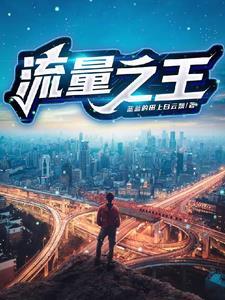 流量王2021