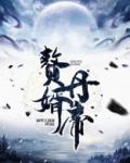 赘婿丹尊无广告