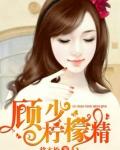 女主顾柠安免费阅读