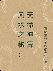 天命风水师一家铺子全文免费阅读