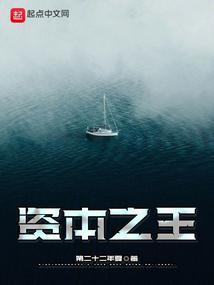 资本之王txt免费全本