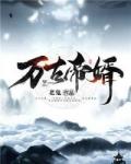 乔卿君夜玄