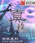 真镜庵募缘疏卷译文