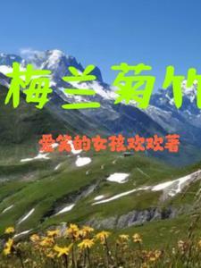 梅兰竹菊是什么生肖