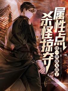 掠夺者的刷怪笼在哪