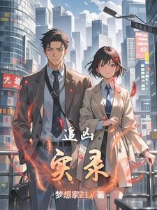 追凶实录是双男主吗