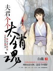 夫君个个太销魂南笙