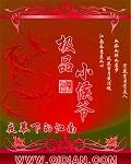 极品小侯爷 3