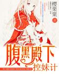腹黑殿下控妹记