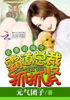抓捕逃妻