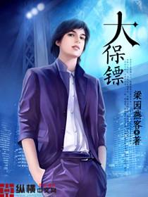大保镖2综合意外险