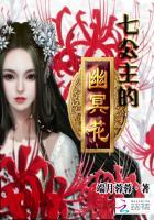 七公主主角