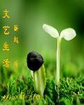 文艺生活周刊2025年1月11日
