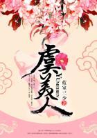 虞美人和罂粟的区别