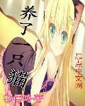 梦里梦到养了一只猫