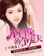 小白兔子的故事