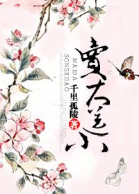 买大赠小