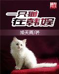 一只猫ssr
