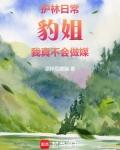 护林日常：豹姐，我真不会做媒